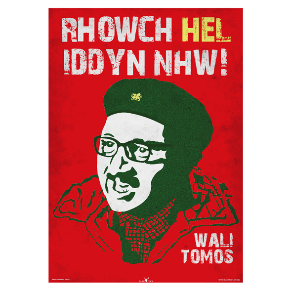 Poster Wali Tomos - Carw Piws